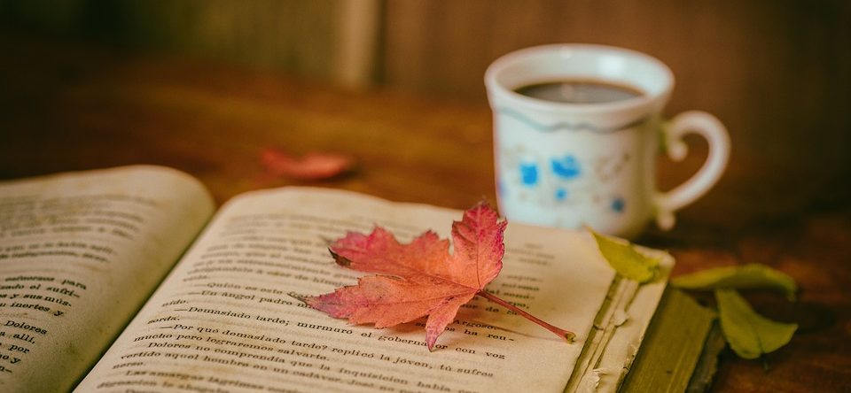 TOP 5 humorných knih, které vám rozzáří podzim